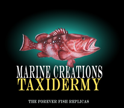 Marine Creations